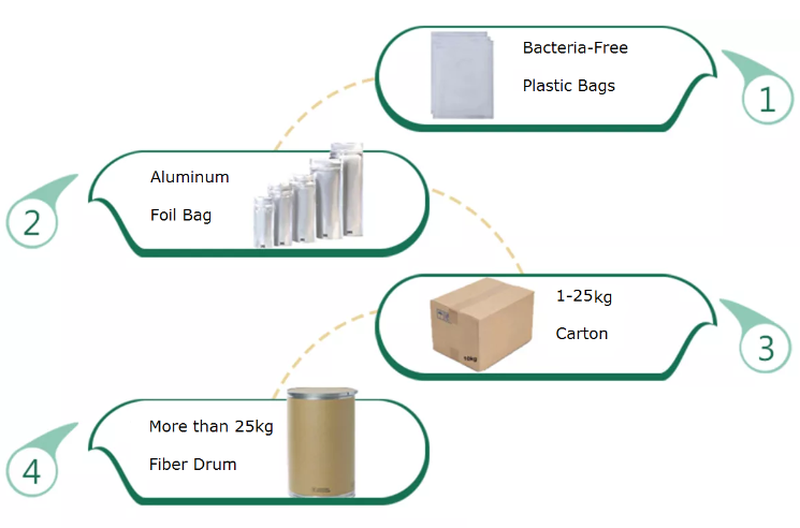 Broccoli Powder Price Broccoli Powder Price