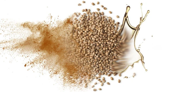 Bulk hemp seed protein powder Bulk hemp seed protein powder