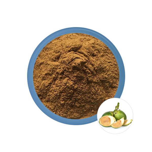 Ekstrak Areca Catechu