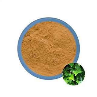 Ekstrak batang ivy cina