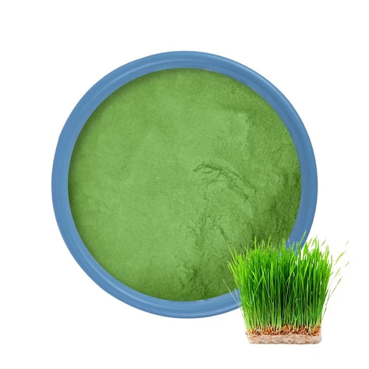 yangge-Wheat Grass Powder（）