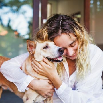 Keselesaan Ekstrak Oatmeal dalam Haiwan