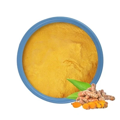 Pukal serbuk ekstrak curcumin