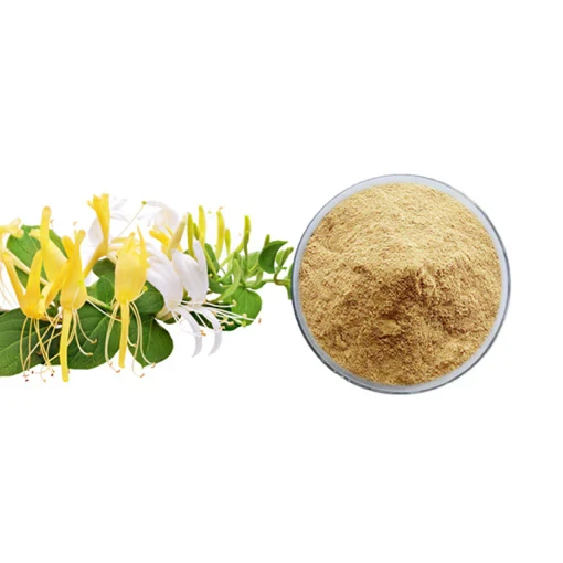 Honeysuckle Extract Powder