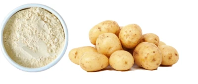 Protein Kentang